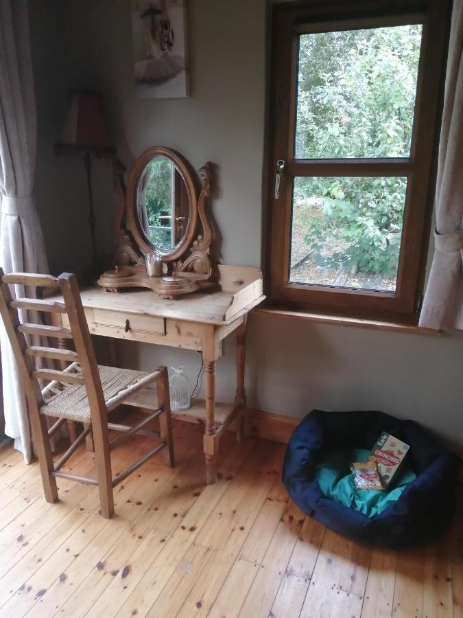 Stay With Your Pet Киларни Екстериор снимка